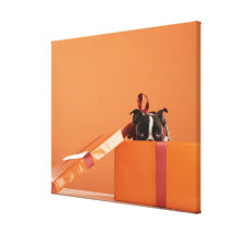 Boston terrier puppy in gift box canvas prints