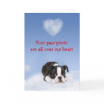 Boston Terrier Puppy Love Card