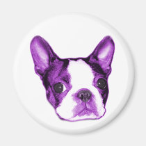 Boston Terrier Puppy Magnet magnets