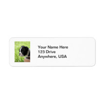 Boston Terrier Puppy Return Address Label