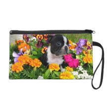 Boston Terrier puppy Wristlet