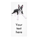 Boston Terrier Rack Card