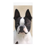 Boston  Terrier Rack Card Design
