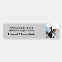Boston Terrier Rescue Bumper Sticker