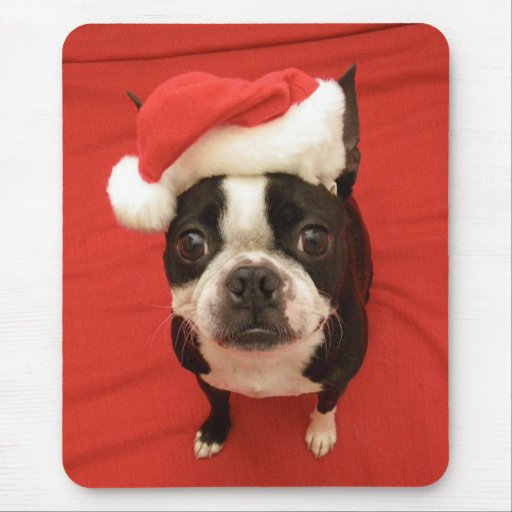 Boston Terrier Santa Claus Dog Mousepad