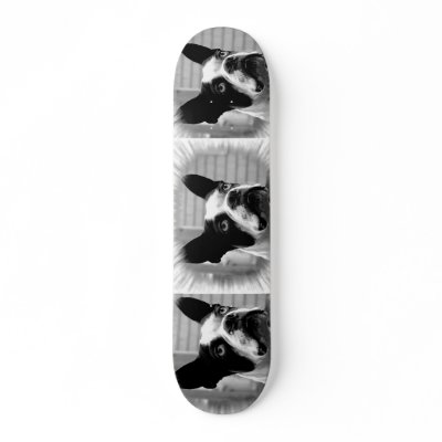 Boston Terrier Skateboard by DogPoundGifts