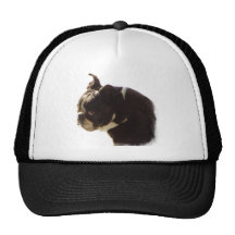 Boston Terrier:  Sweet Profile Mesh Hat