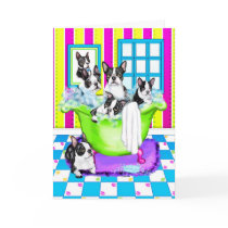 Boston Terrier Tub Full