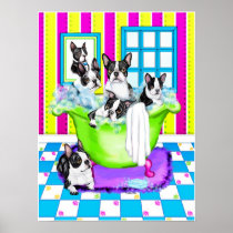 Boston Terrier Tub Full