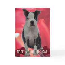 Boston Terrier Valentine's Day Card