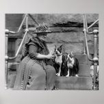 Boston Terriers, 1920s Print