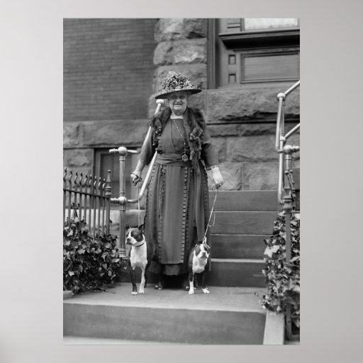 Boston Terriers and 1920s Fashion Poster