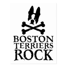 Boston Terriers Rock Post Card