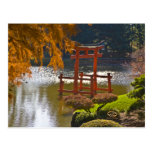 Botanic Garden New York Brooklyn Fall Postcard