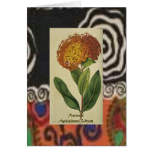 Botanical Art Card