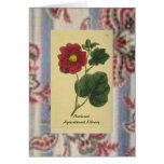 Botanical Art Card Two