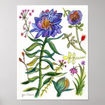 Botanical Drawing of Wonderful Blue Flower Print