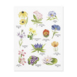 Botanical flower illustrations postcard