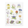 Botanical flower illustrations postcard
