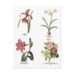Botanical flower illustrations post card