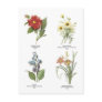 Botanical flower illustrations postcard