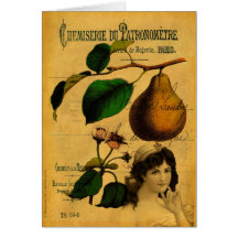 Botanical Fruit Greeting Card