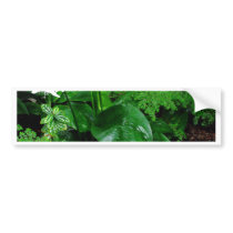Botanical Garden with White Flowers Bumper Sticker