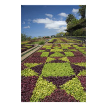 Botanical Gardens, Funchal, Madeira Islands, Photographic Print