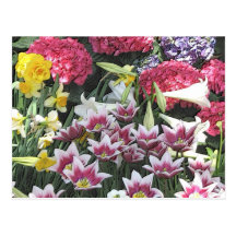 Botanical Gardens: Spring Bulbs (pastel effect) Postcards