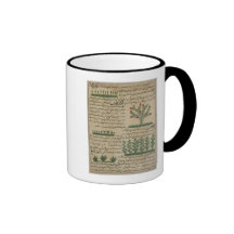 Botanical plants, illustration from 'The Mug