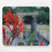 Botanical Rome Mouse Pads