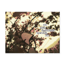 (((((both fascinate bewitch))))) postcard
