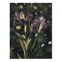 Botticelli Irises Wenskaarten