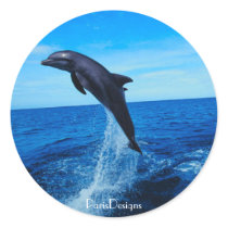 Bottle nose dolphin stickers