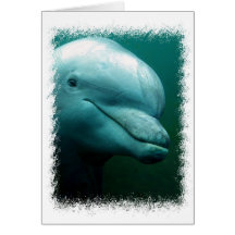 Bottlenose Dolphin Greeting Card