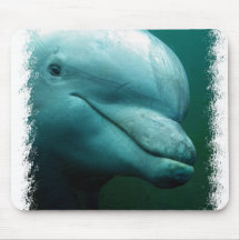 Bottlenose Dolphin Mouse Pad