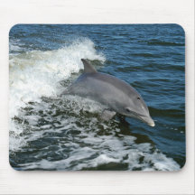 Bottlenose dolphin mouse pad