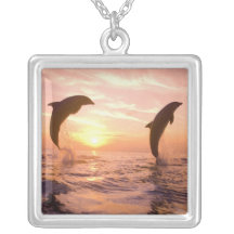 Bottlenose Dolphins Tursiops truncatus) 8 Jewelry