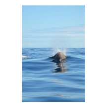 Bottlenose Whale Personalised Stationery