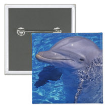 Bottlenosed Dolphin, Tursiops Truncatus Buttons