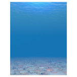 Bottom of The Sea letterhead