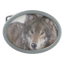 Boucle de ceinture de conception de visage de loup