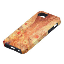 Bouddha dans sa jeunesse par Redon - pour l'iPhone Coque iPhone 5