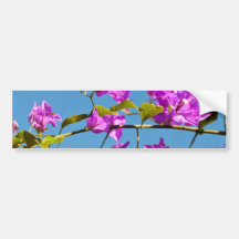 Bougainvillea Bumper Sticker
