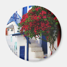 Bougainvillea growing outside a house, Mykonos Refrigerator Magnet