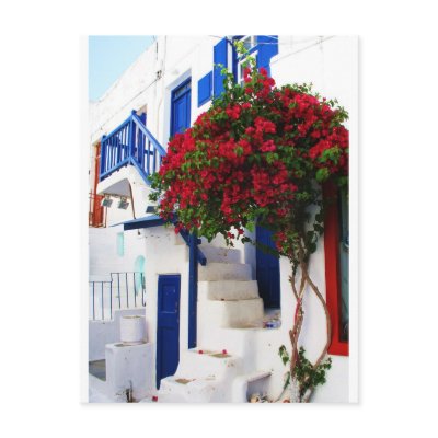 Bougainvillea growing outside a house, Mykonos Postcard by foreverspring