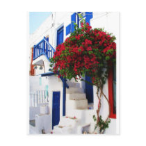 Bougainvillea growing outside a house, Mykonos Postcard