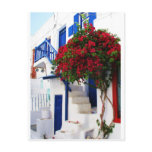 Bougainvillea growing outside a house, Mykonos postcards