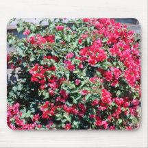 Bougainvillea Mouse Mats