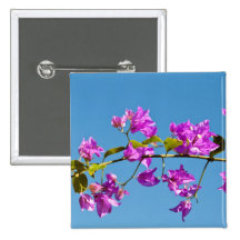 Bougainvillea Pinback Buttons